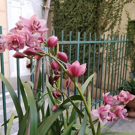 La Priaguea - House Apartment Camogli