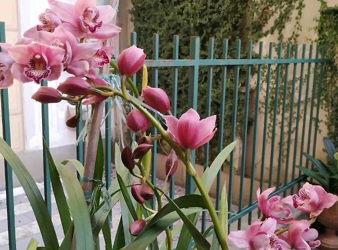 La Priaguea - House Lägenhet Camogli